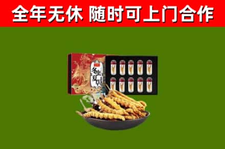 永丰回收冬虫夏草价格